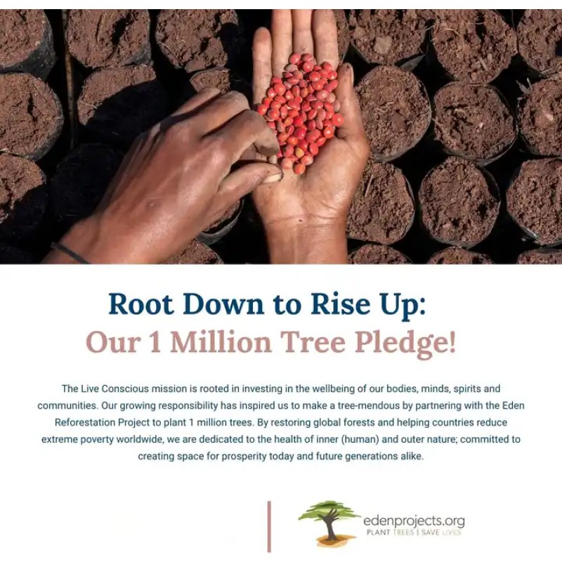 B-Complex Gummies Manufacturer - OEM High Potency Formula