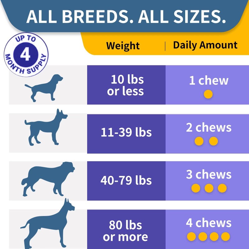 Pet Probiotic Manufacturer - OEM Digestive Enzymes Prebiotics