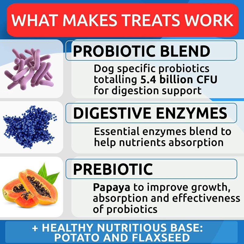 Dog Probiotic Manufacturer - OEM Digestive Enzymes Anti Diarrhea