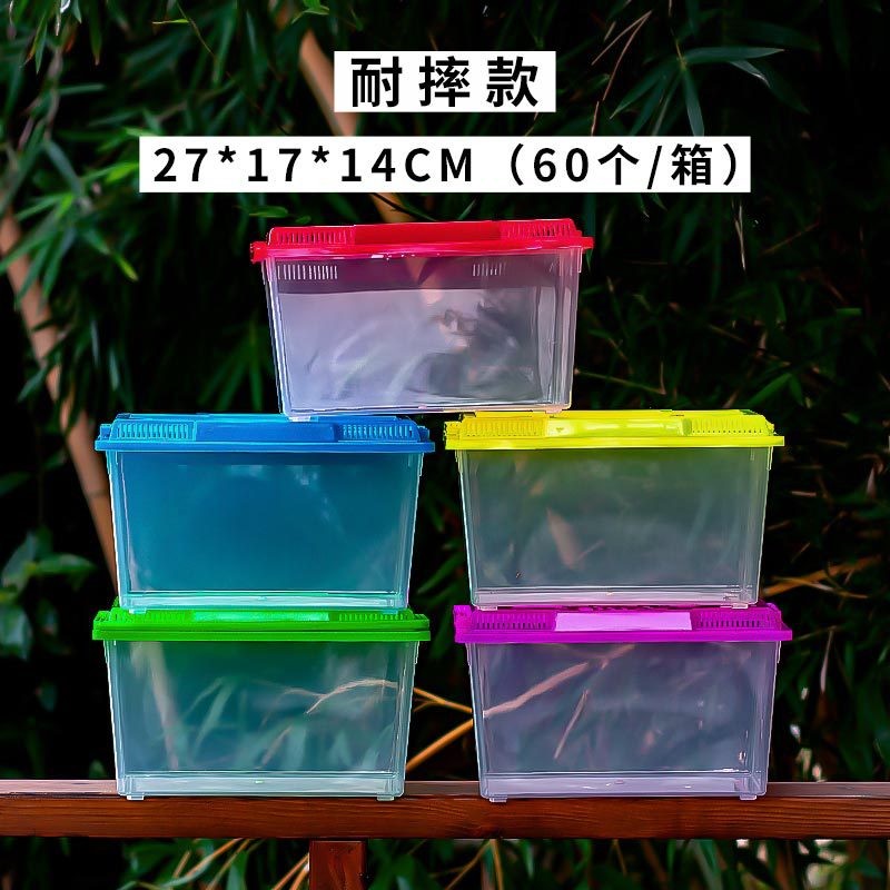 Breeding Box Supplier - OEM Mini Square Reptile Transport