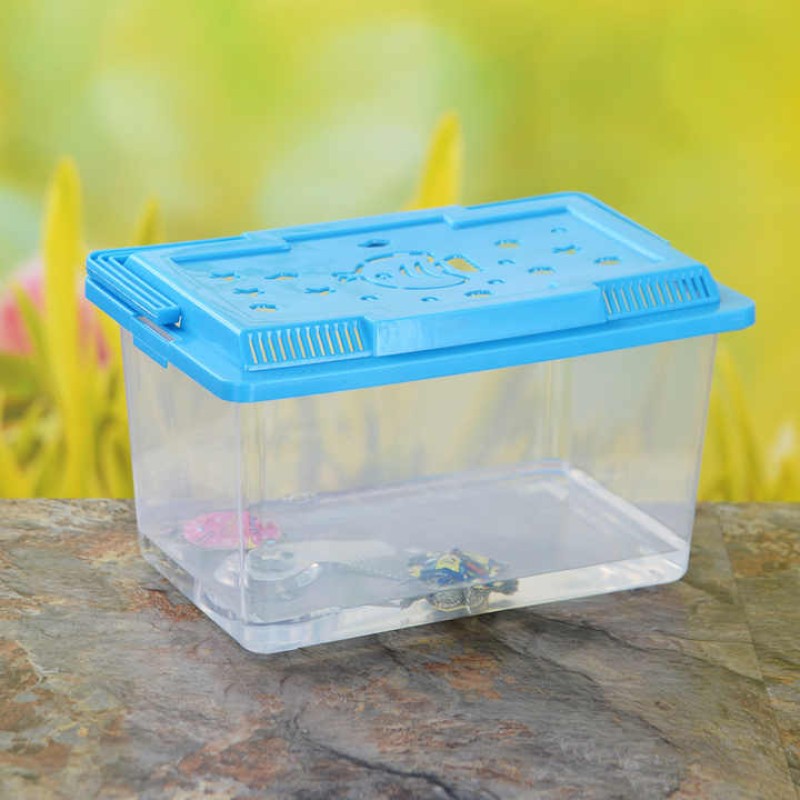 Handheld Pet Box Manufacturer - OEM Rectangular Transport Platform