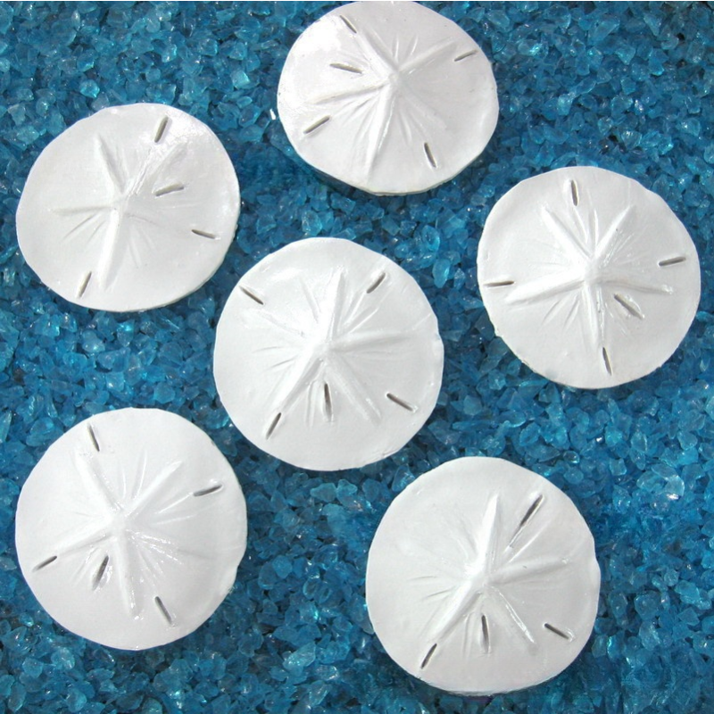 Resin Sea Coin Factory - OEM Mediterranean Micro-Landscape