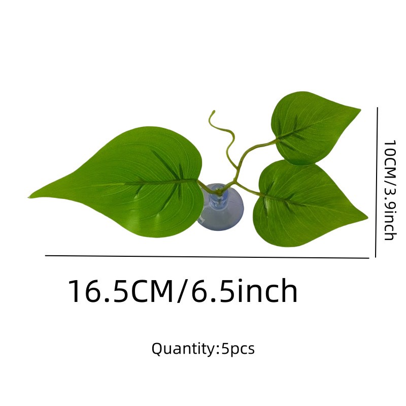 Aquarium Plant Supplier - OEM Suction Cup Eucalyptus Leaves