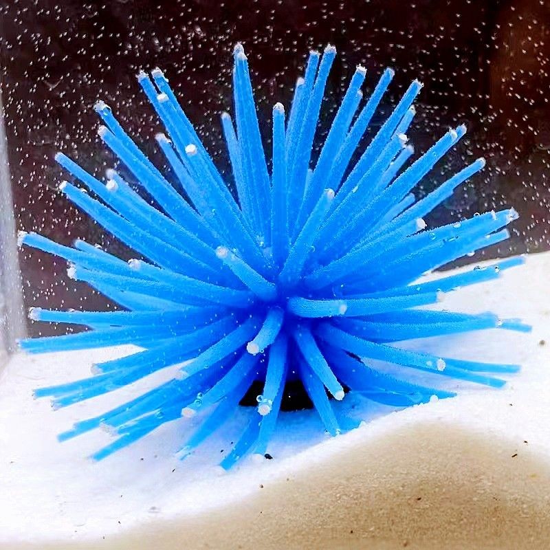 Sea Urchin Ornament Manufacturer - OEM Plastic Jellyfish Coral