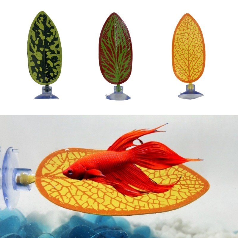 Betta Leaf Supplier - OEM Spawning Resting Hatching Decor