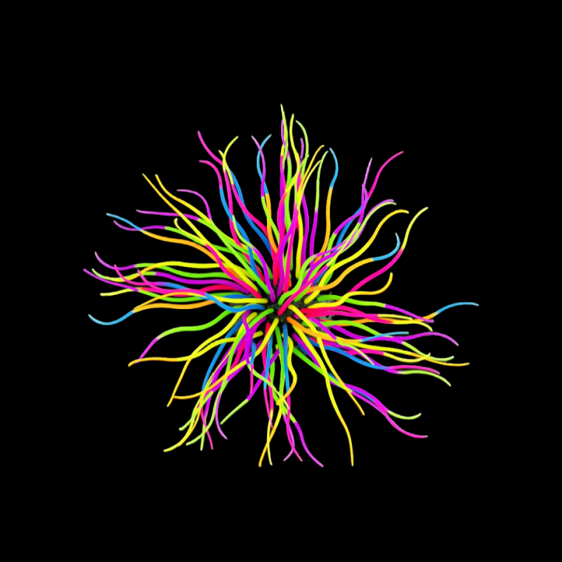 Heated Mat Manufacturer - OEM Adjustable Waterproof Dog Pad