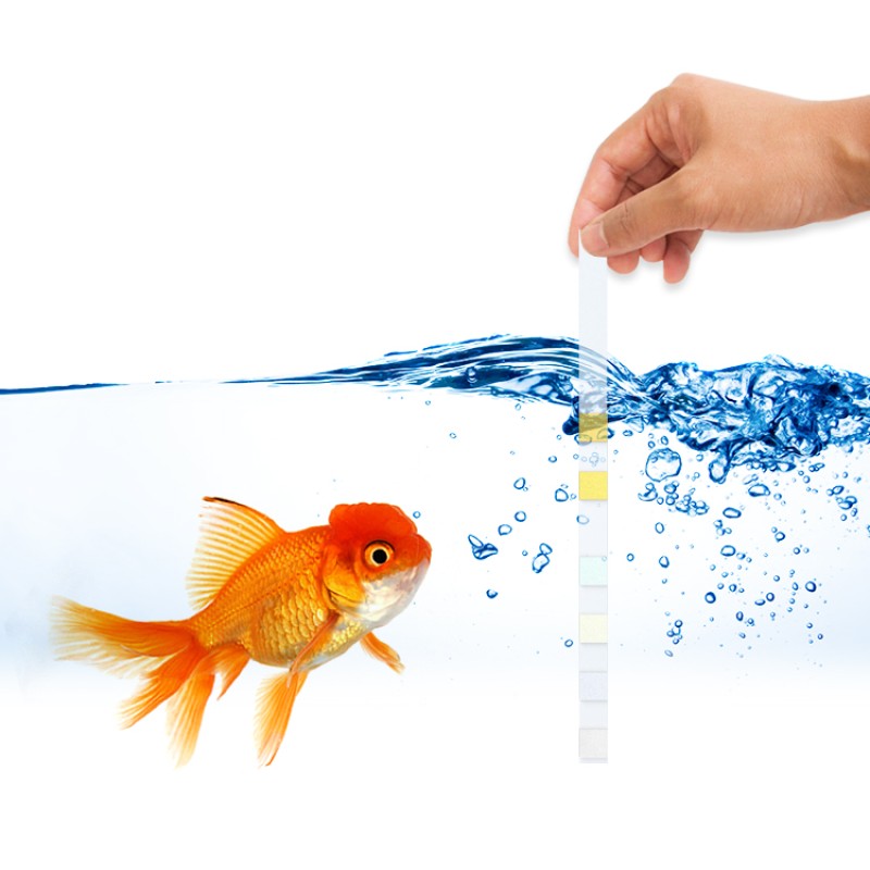 Water Test Kit Supplier - OEM 6 in 1 Quality Test Strips