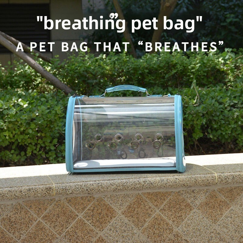 Pet Backpack Supplier - Transparent Foldable Travel Box Custom Sizes