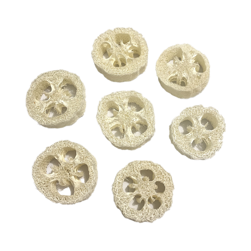 Loofah Slices Supplier - 2cm 2.5cm Oval Soap Making Custom