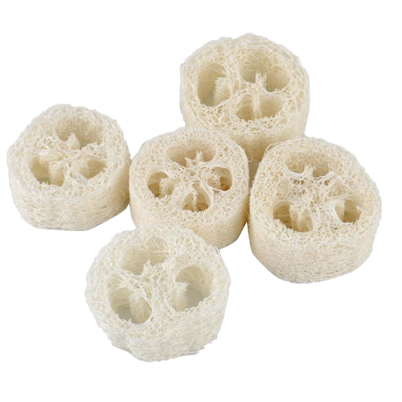 Loofah Slices Supplier - 2cm 2.5cm Oval Soap Making Custom