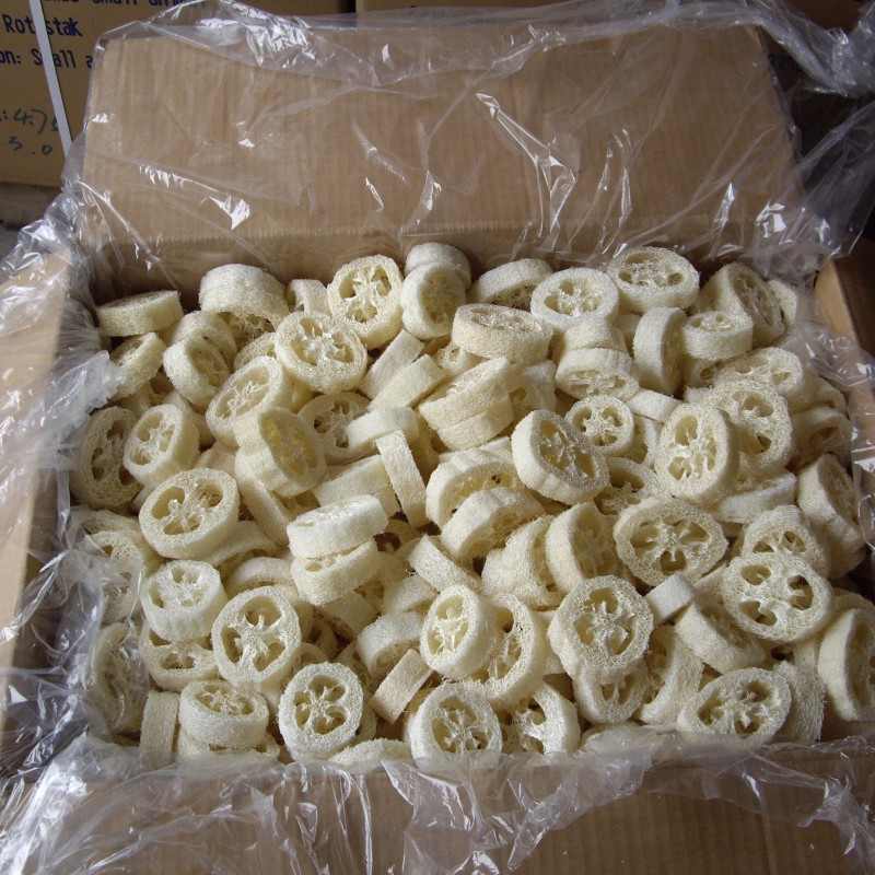 Soap Scrubber Manufacturer - Transparent Multi Type Body Care Custom