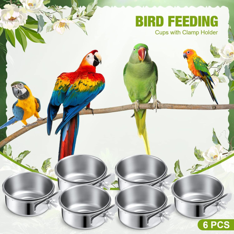 Bird Food Canister Factory - Stainless Steel Anti Gnaw Bowl for Parrots Custom