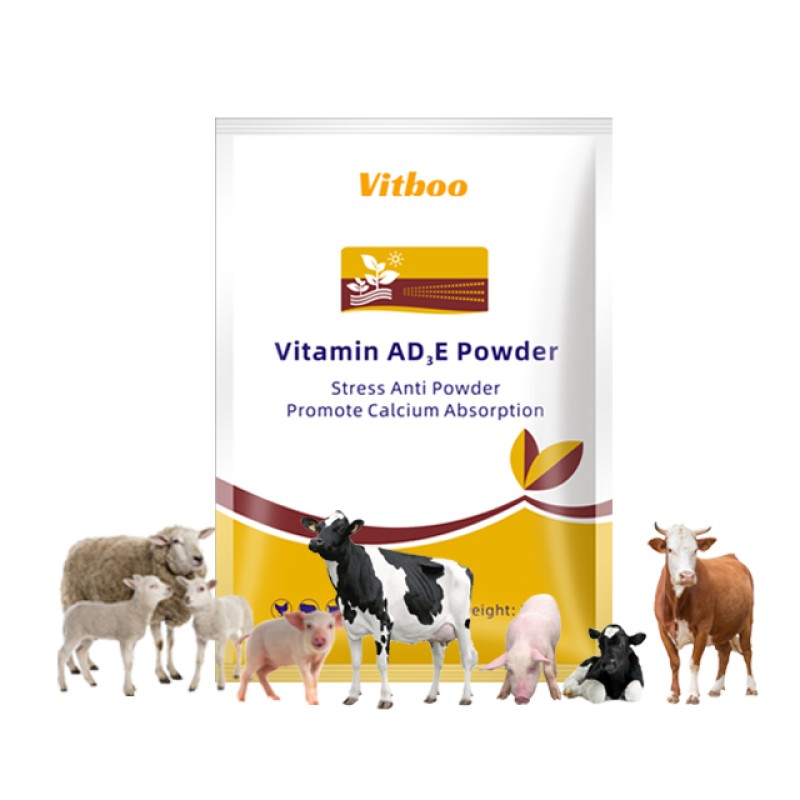 Animal Vitamin Premix Manufacturer - Multi Vitamin Mineral Feed Additive
