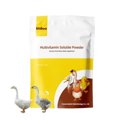 Animal Multivitamin Soluble Powder Supplier - Feed Grade Health Supplement
