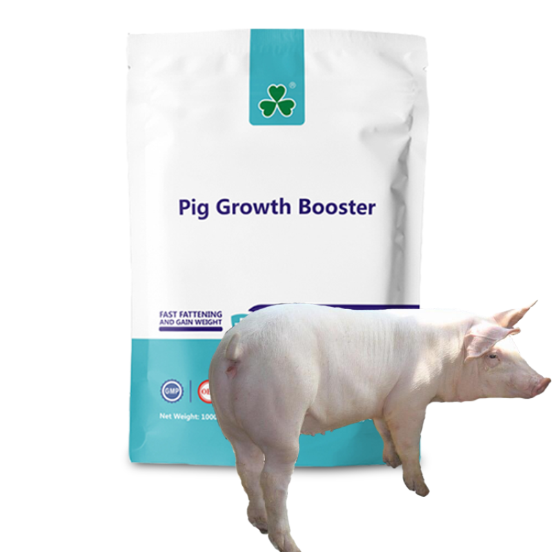 Vitamin Mineral Premix Factory - Pig Weight Gain Feed Additive