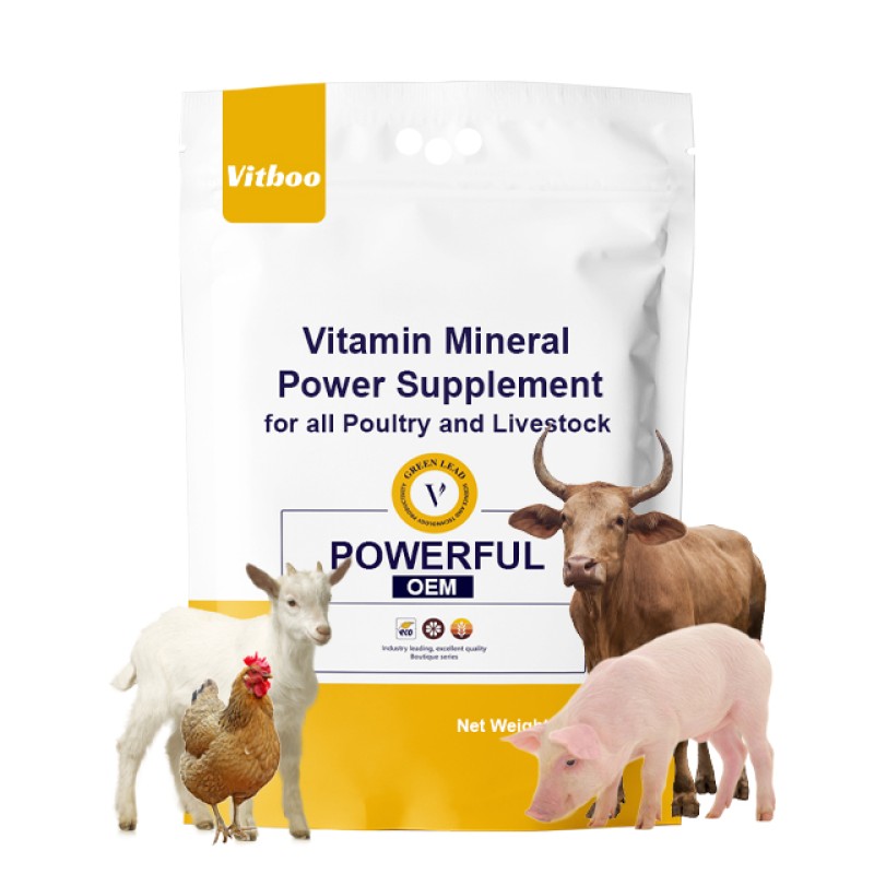 Chicken Anti-stress Additive Factory - Multivitamin Powder for Poultry