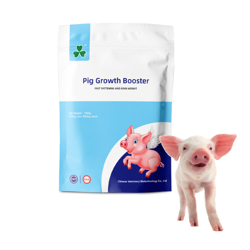 Animal Feed Concentrate Manufacturer - Pig Growth Nutrition Supplement