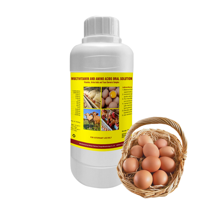 Multivitamin AD3E Oral Solution Factory - Livestock Vitamin Premix