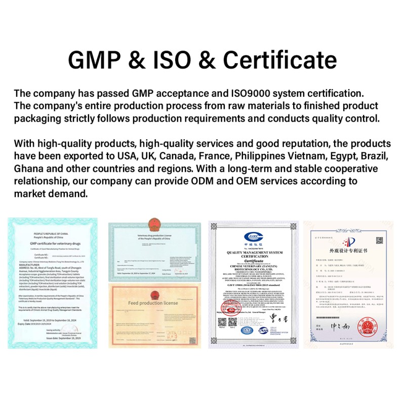 Poultry Egg Fertility Booster Factory - Multivitamin Soluble Powder