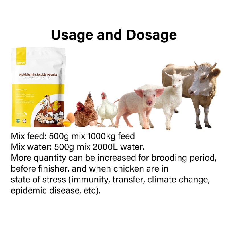 Soluble Vitamin Powder Factory - Poultry Livestock Organic Additive