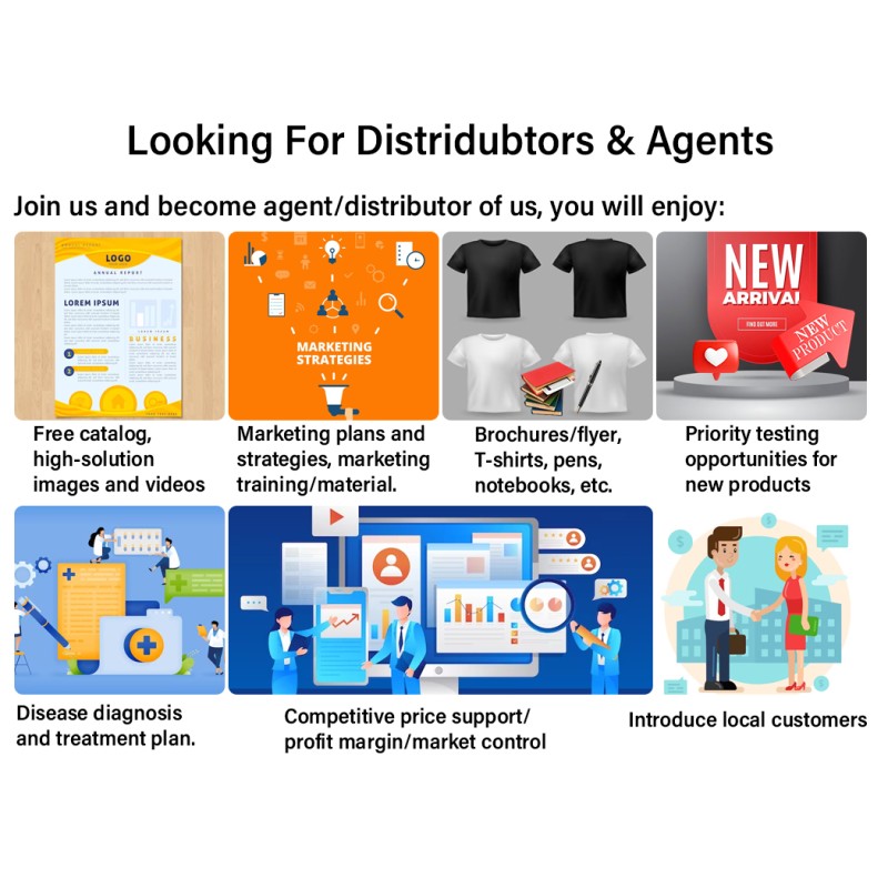 Rabbit Vitamin Supplement Factory - OEM & ODM Multivitamin Oral Liquid