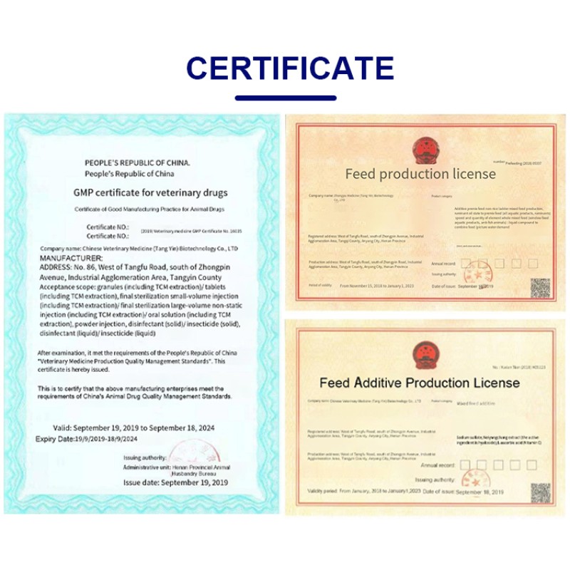 Fish Multivitamin Booster Factory - 4% Premix for Fast Growing Catfish