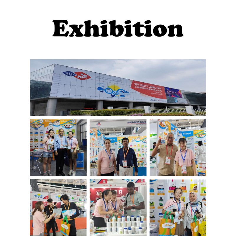 Aquatic Probiotics Powder Factory - Bacillus Subtilis Water Fertility