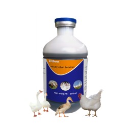 Chicken Oral Liquid Factory - Poultry Liver Growth Solution Additive