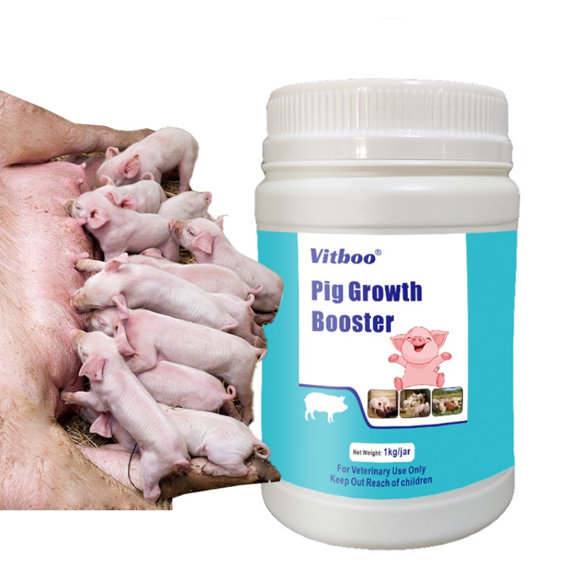 Pig Growth Booster Feed Additive Factory - Bulk Swine Nutrition Supplement