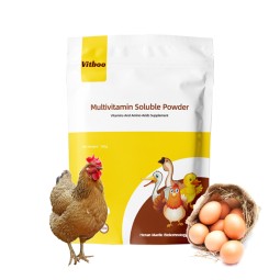 Chicken Weight Gain Booster Supplier - Multi Vitamin Growth Supplement