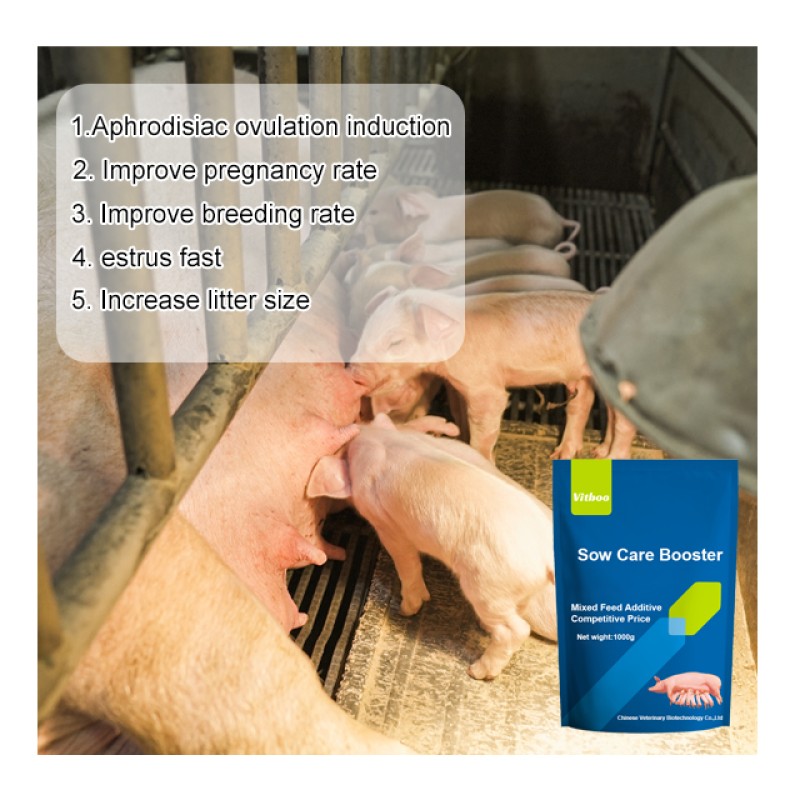 Pig Premix Feed Factory - 4% Fattening Vitamin Supplement for Swine
