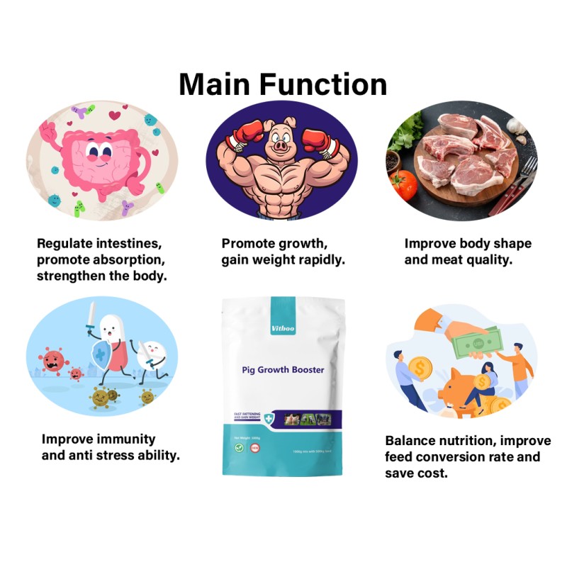 Pig Fattening Premix Supplier - Mineral Vitamin Growth Booster