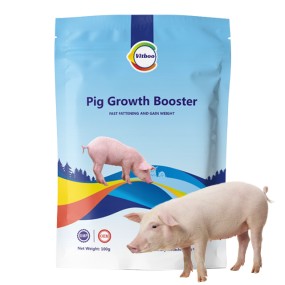 Pig Growth Booster Feed Factory - Fattening and Growth Promoter Additive