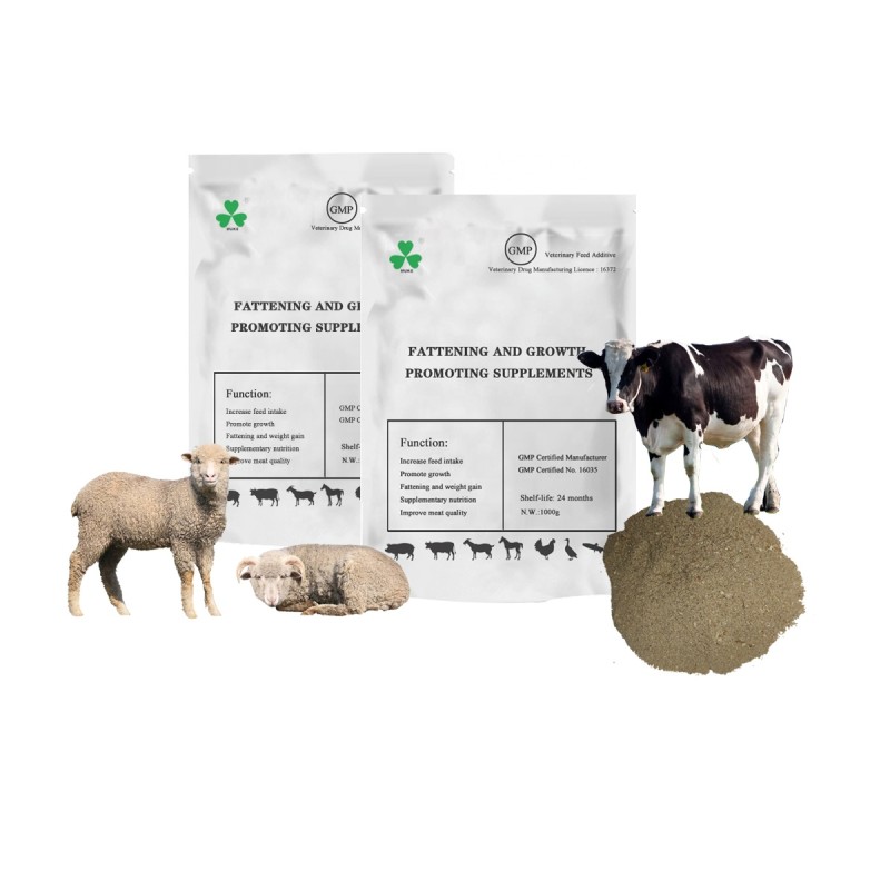 Meat and Bone Meal Supplier - 50% Protein Feed Grade for Animals