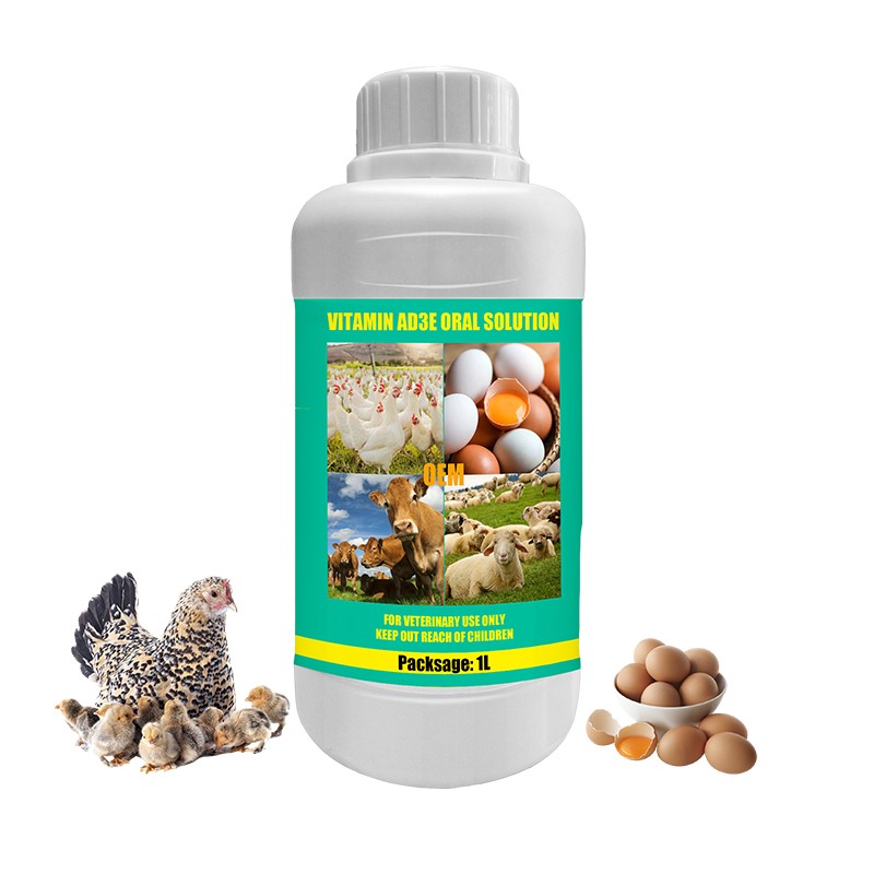Vitamin AD3E Liquid Manufacturer - High Grade Oral Solution for Animals