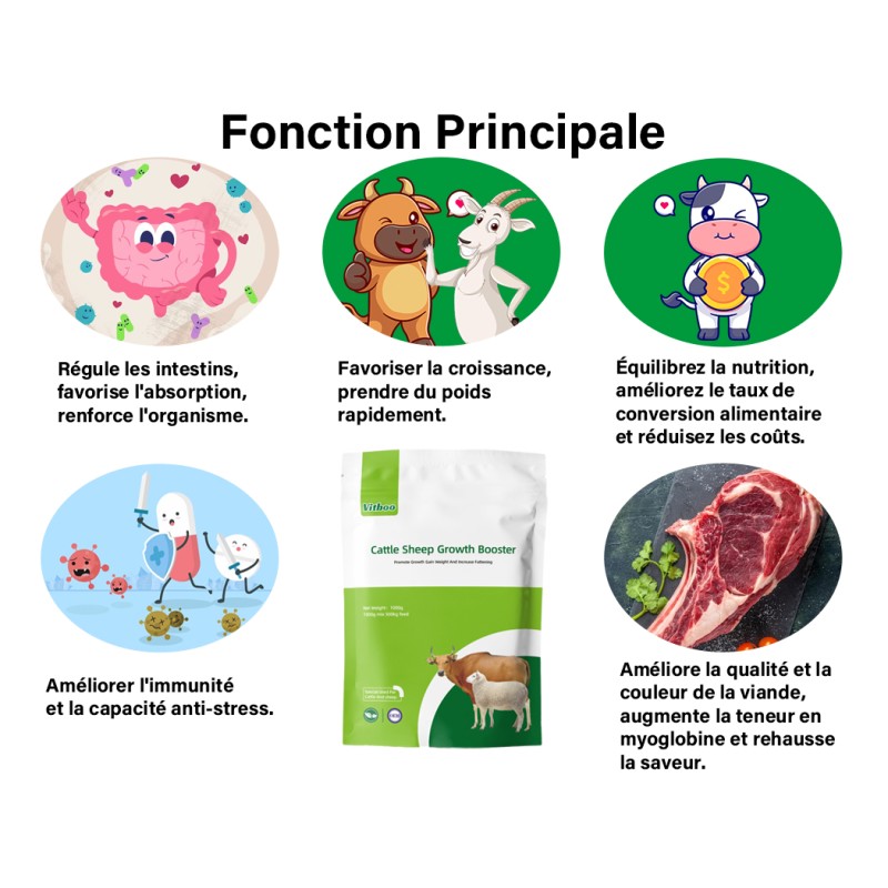 Dairy Cow Premix Manufacturer - Vitamin Mineral Supplement for Cattle