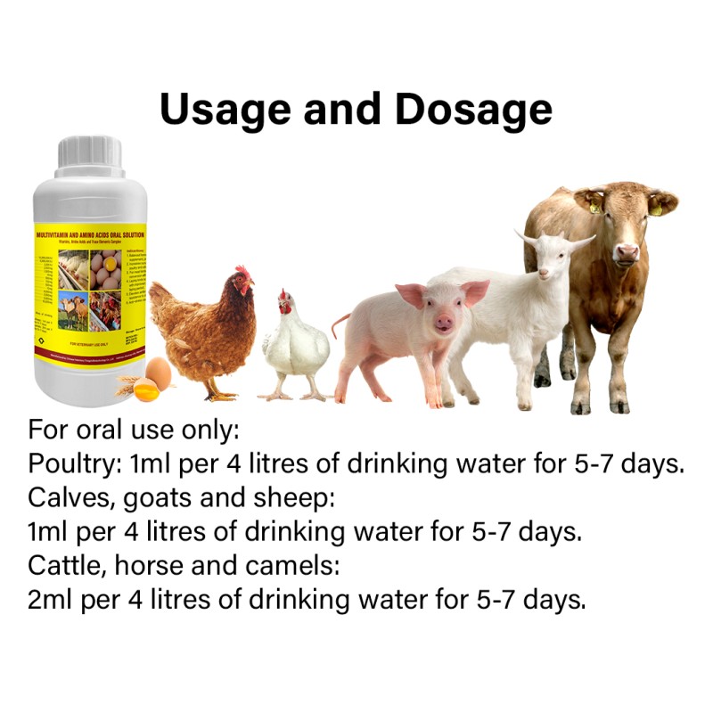 Poultry Oral Solution Manufacturer - Growth and Egg Production Premix
