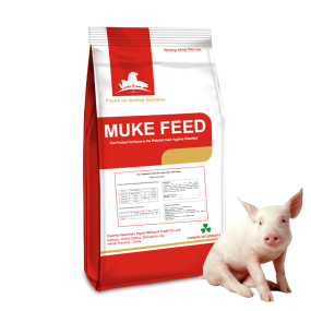 Pig Weight Gain Premix Factory - Fattening Stage Concentrate Feed
