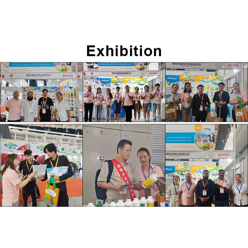 Dairy Cow Milk Booster Manufacturer - High Production Feed Additive