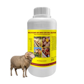 Dairy Cattle Vitamin Supplier - Weight Gain Syrup Water Soluble Premix