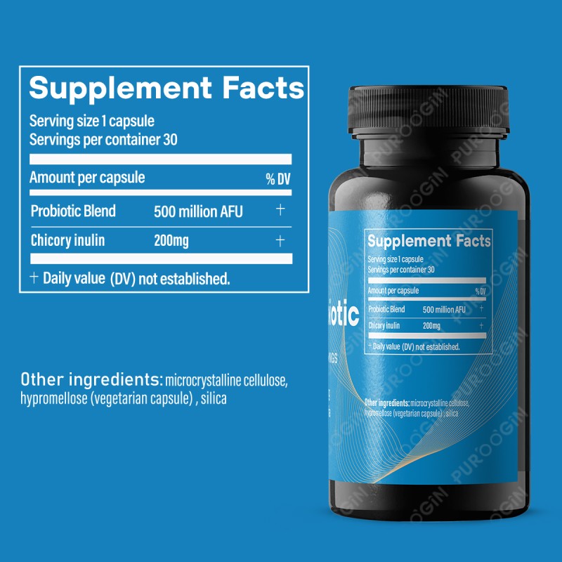 Prebiotic Capsules Factory - OEM Custom Gut Health Strain