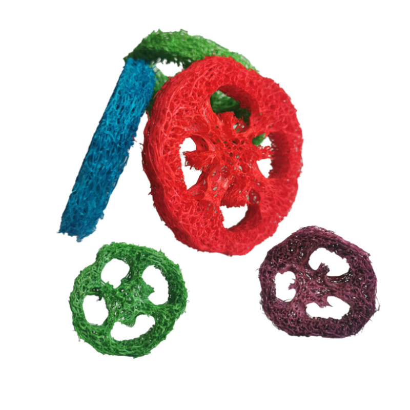 Small Animal Toys Supplier - Apple Wood Sticks for Teeth Care