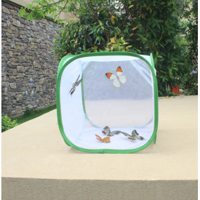 Butterfly Net House Supplier - Green Collapsible Zipper Closure