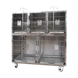 Veterinary Cage Supplier - Stainless Steel Two Stage Five Compartments