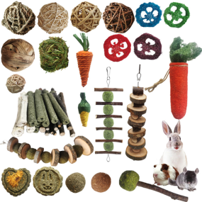 Small Animal Toys Supplier - Apple Wood Sticks for Teeth Care