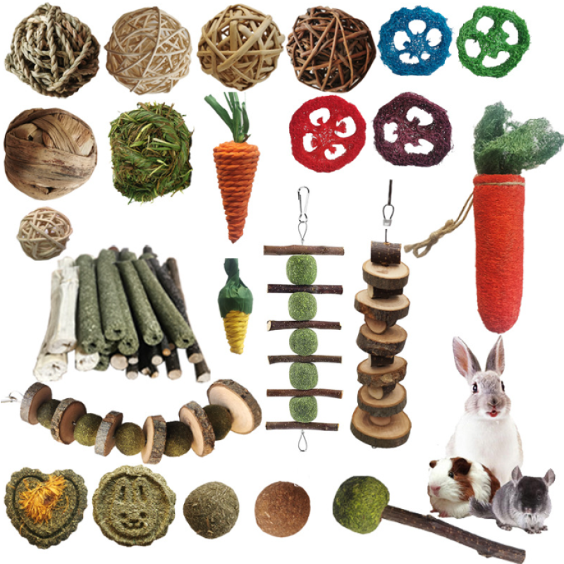 Small Animal Toys Supplier - Apple Wood Sticks for Teeth Care