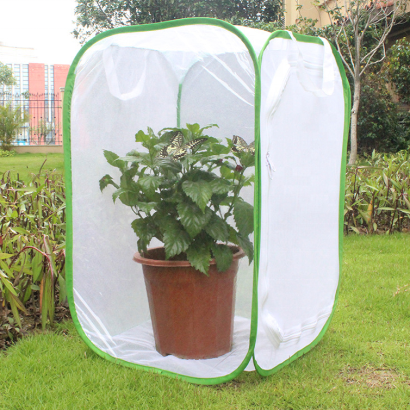 Butterfly Net House Supplier - Green Collapsible Zipper Closure