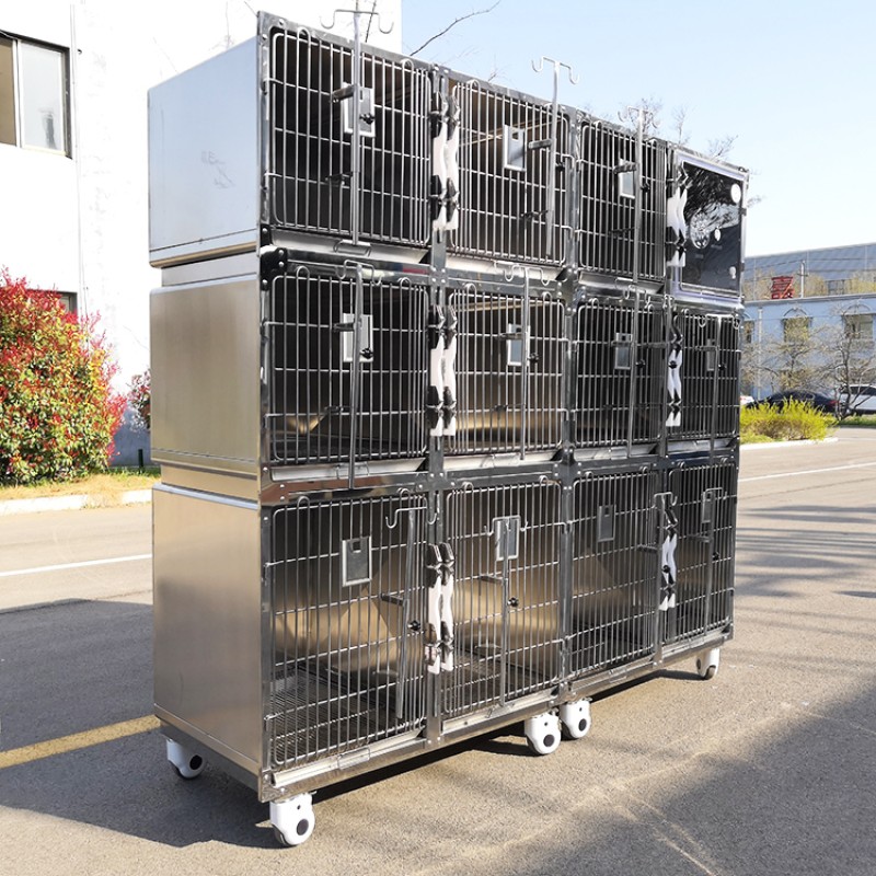 Veterinary Cage Factory - Twelve Compartments Hospital Quality