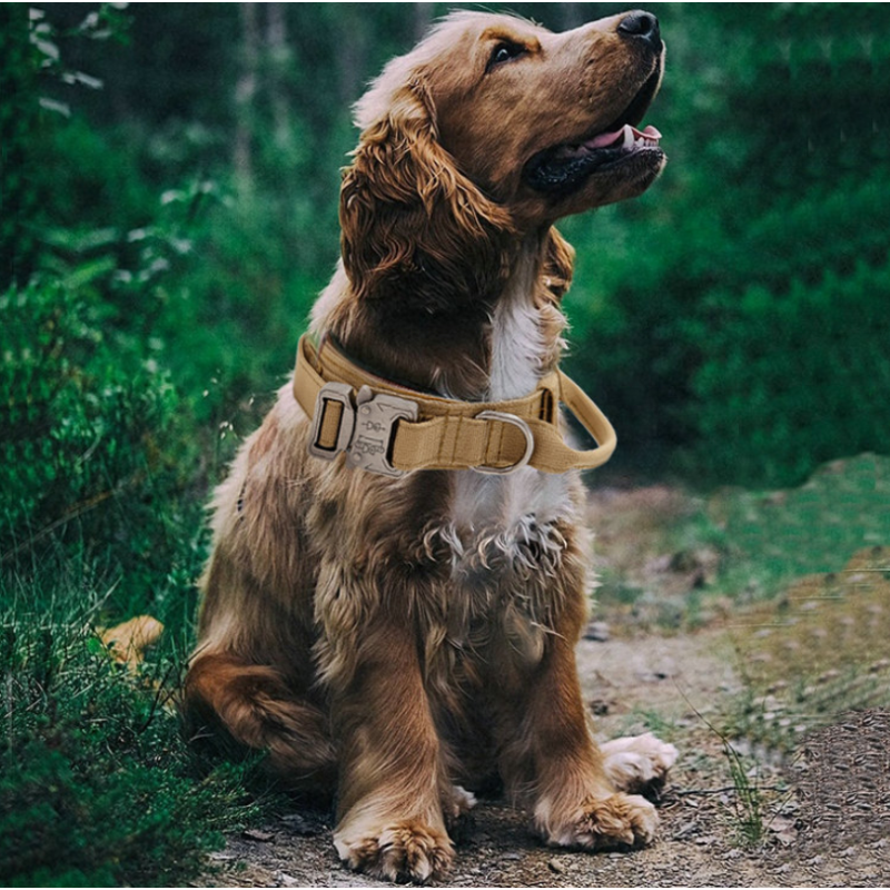 Tactical Dog Collar Manufacturer - Adjustable Nylon Harness Heavy Metal