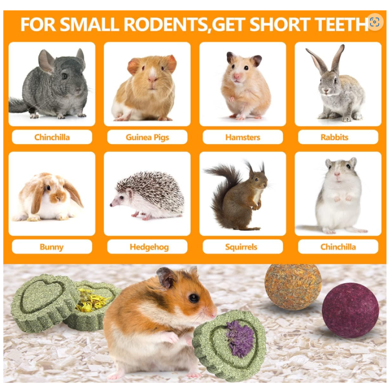 Small Animal Toys Supplier - Apple Wood Sticks for Teeth Care